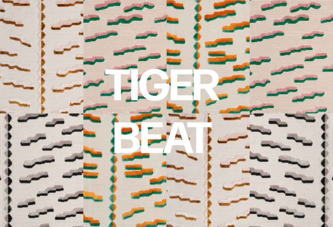 Dedar Tiger Beat
