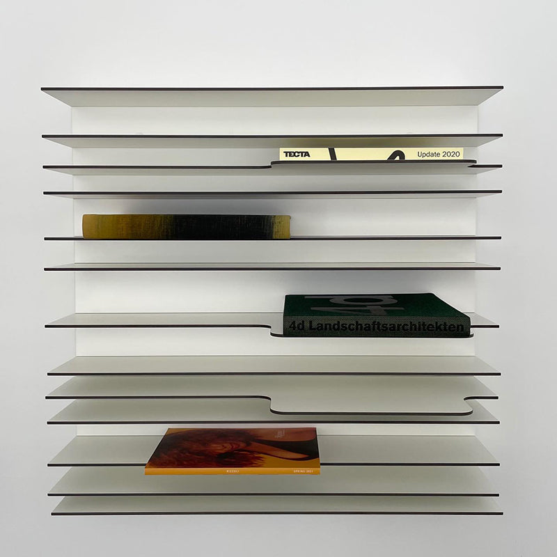 Spectrum Paperback shelving system with thin shelves showcasing books in a minimalist design.