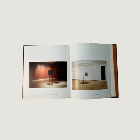 The Art of Betty Goodwin 1998