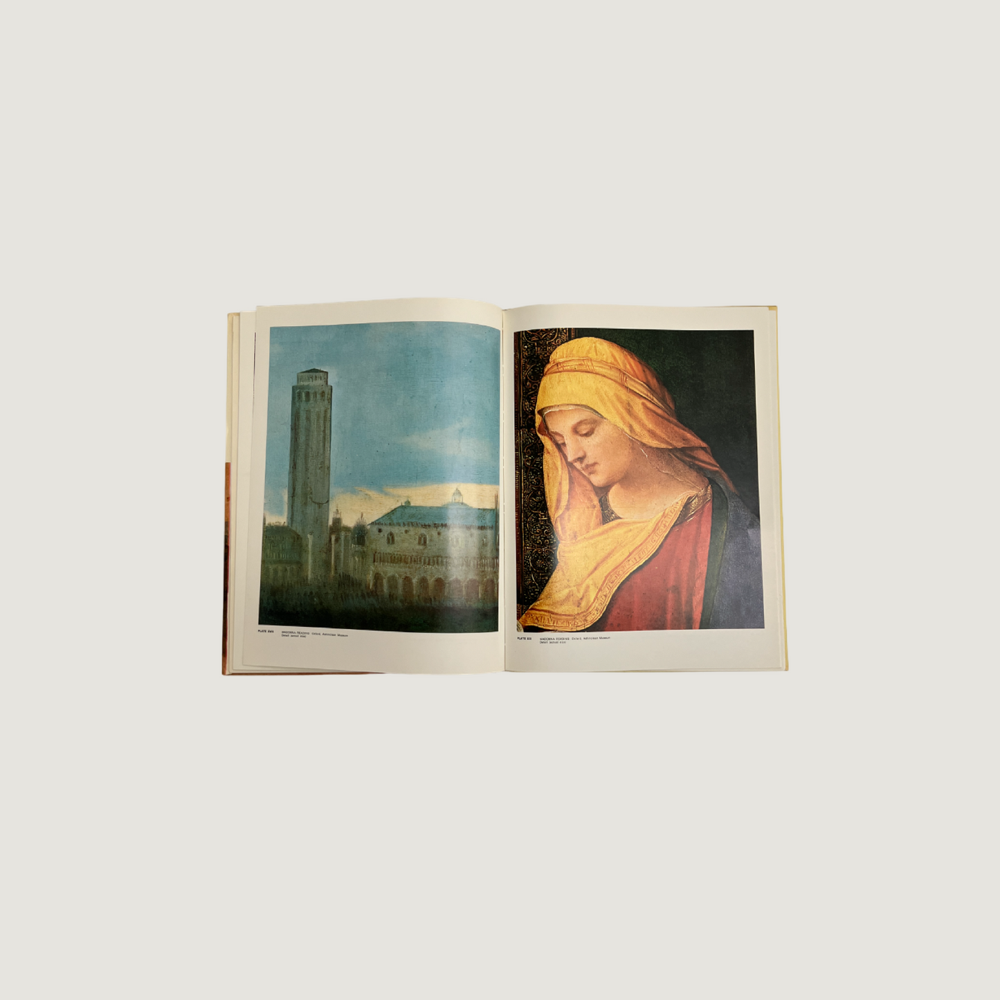 The Complete Paintings of Giorgione 1968