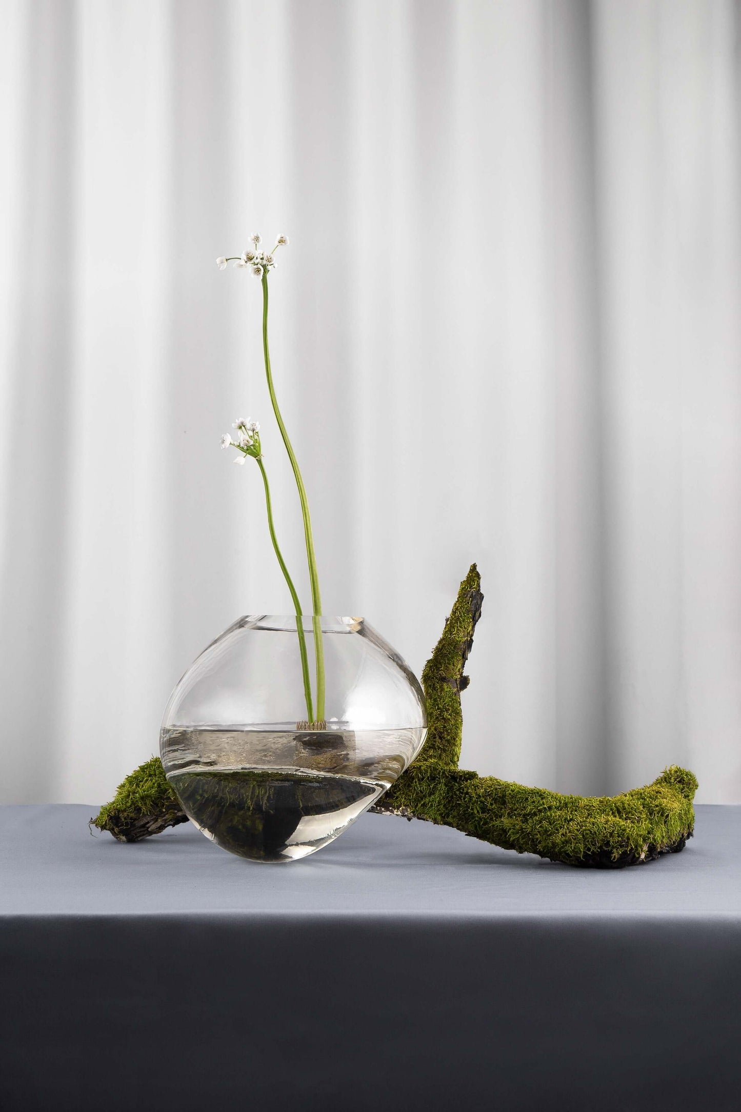 Gutta Vase