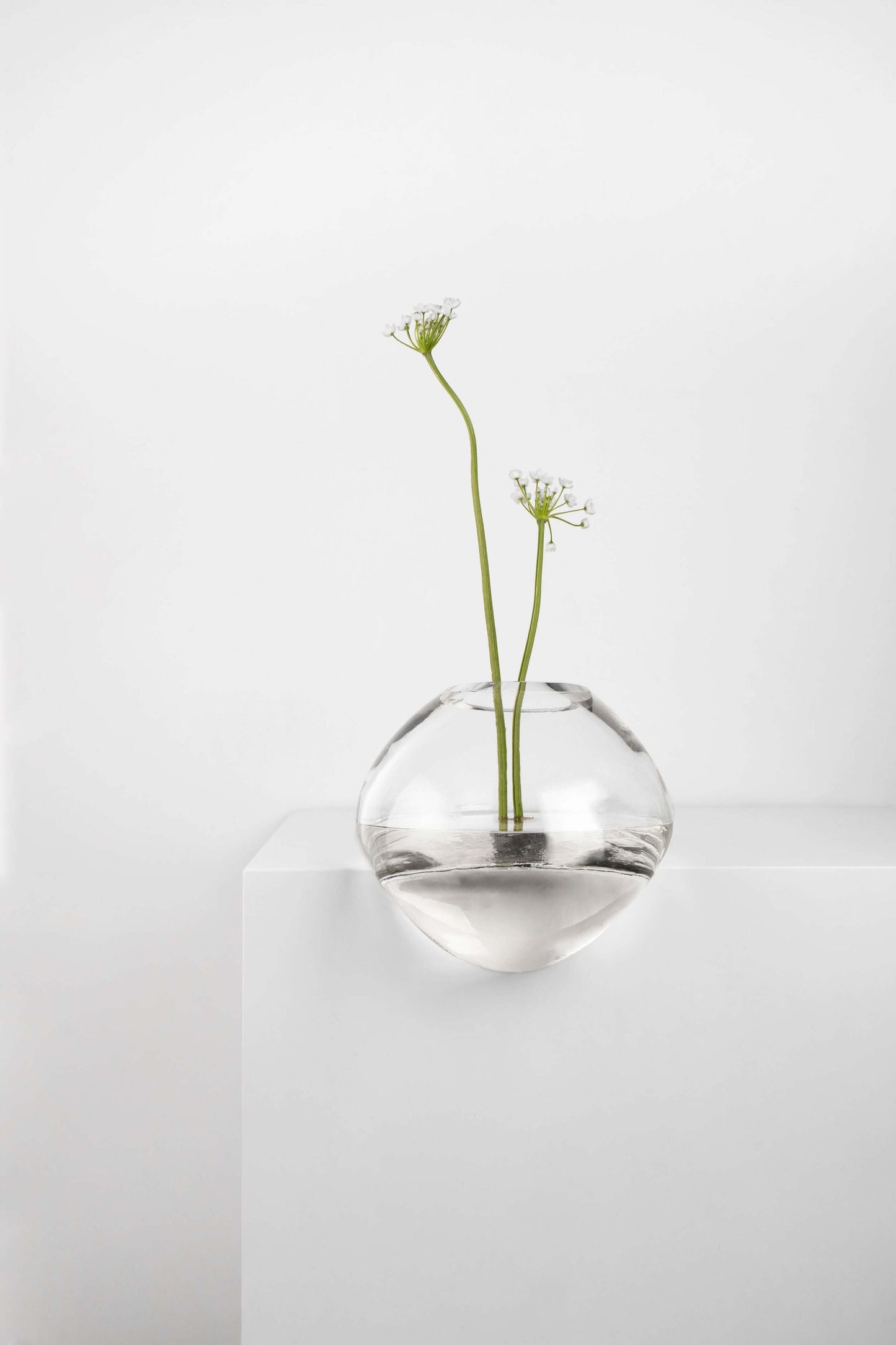 Gutta Vase